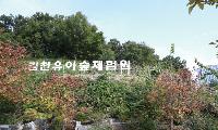 자연이 선사하는 최고의 놀이터 !
